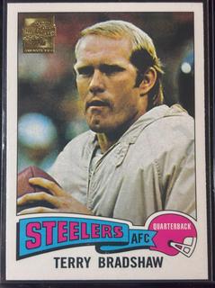 Terry Bradshaw