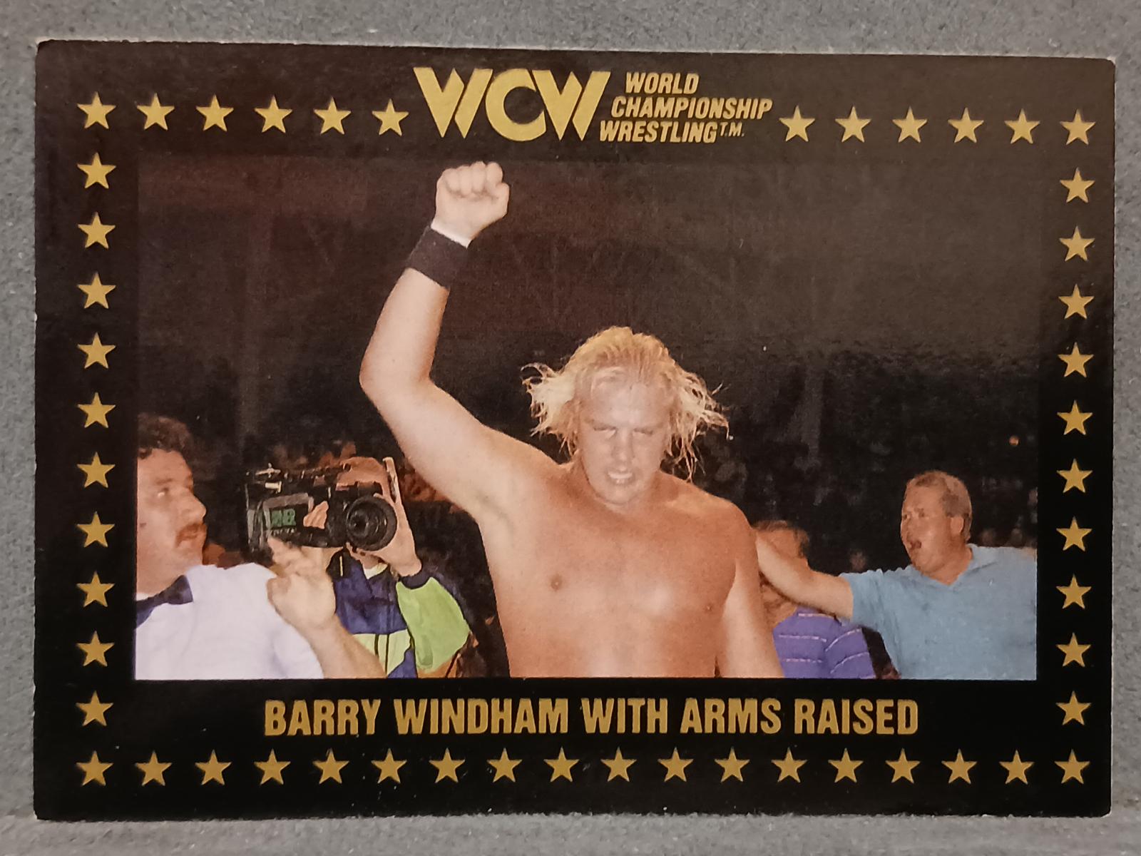 Barry Windham with Arms Raised #28 Wrestling Cards 1991 Championship Marketing WCW