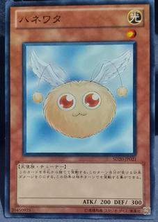 Hanewata SD20-JP021