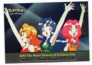The Water Flowers of Cerulean City
