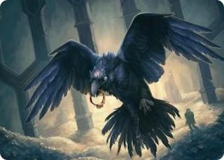 Most Decrepit Old Bird