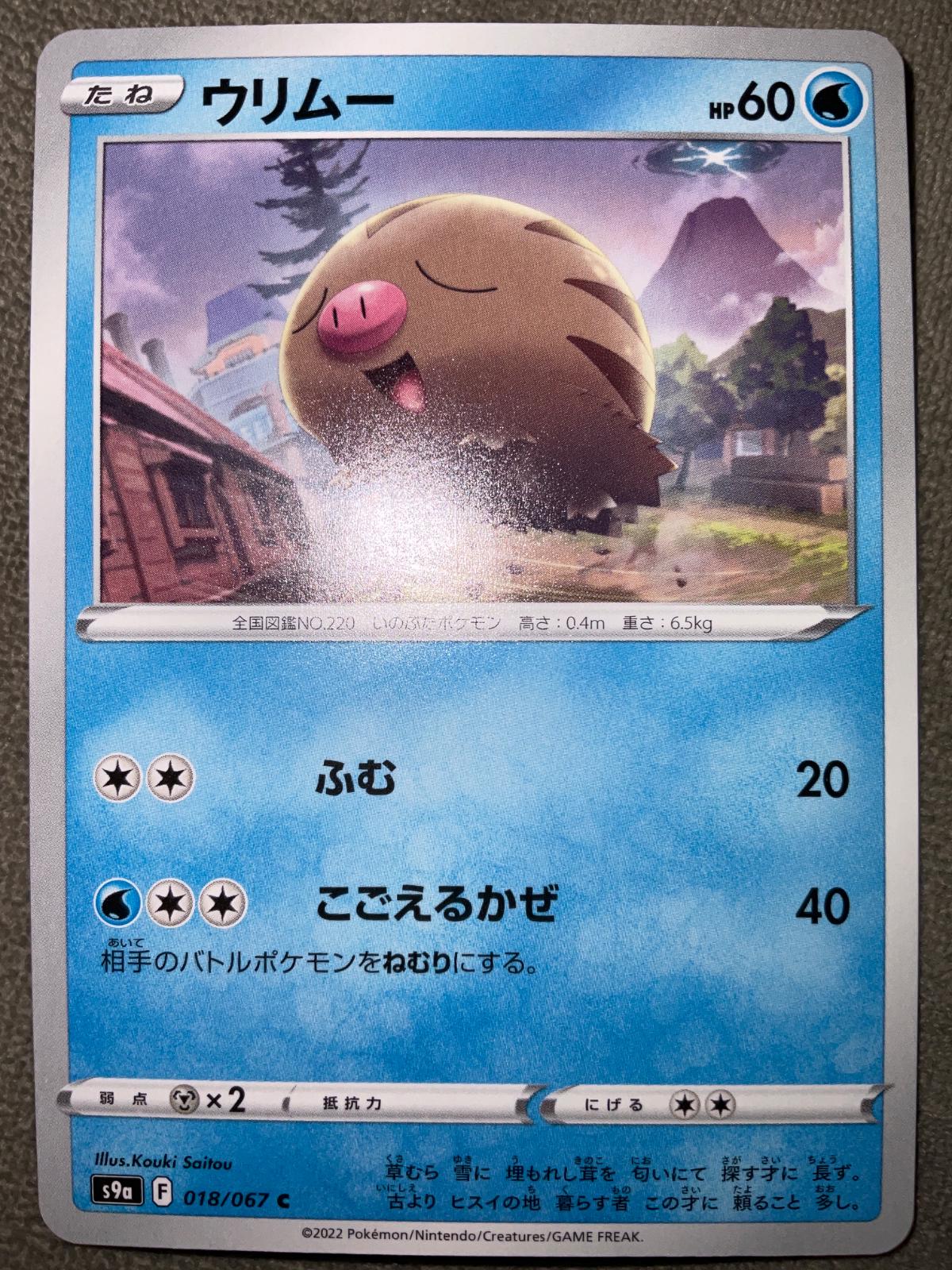 Swinub #18 Pokemon Japanese Battle Region