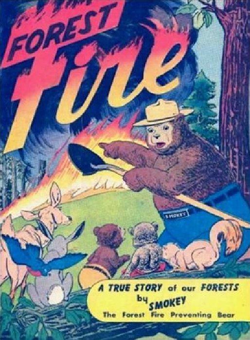 Forest Fire (1950) Comic Books Forest Fire
