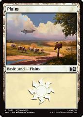 Plains #871