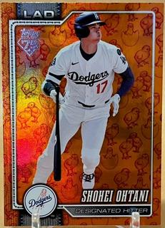 Shohei Ohtani