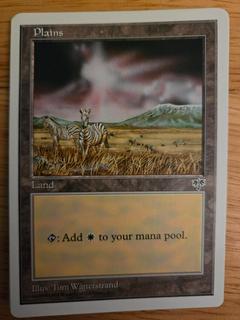 Plains