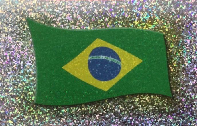 Flag of Brazil #101 2007 Panini Copa America Venezuela Soccer