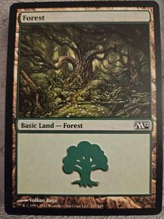 Forest