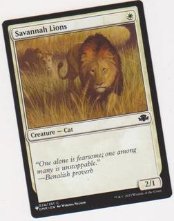 Savannah Lions