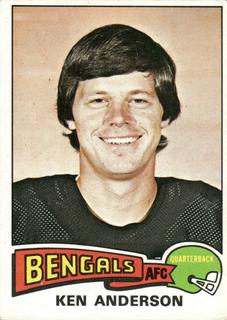 Ken Anderson
