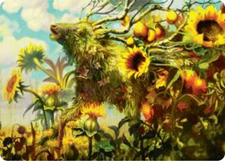 Beza, the Bounding Spring