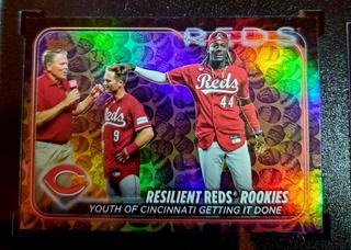 Resilient Reds Rookies