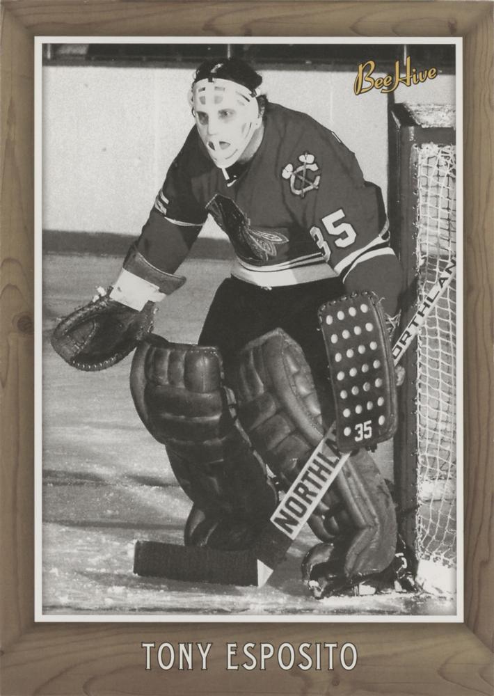 Tony Esposito #218b 2006 Upper Deck Bee Hive 5 X 7 Photo Cards Hockey