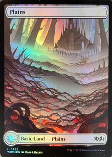 Plains