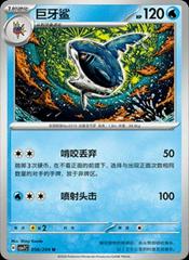 Sharpedo #56