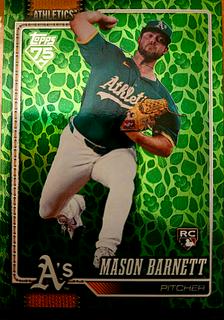Mason Barnett