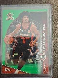 Tai Webster