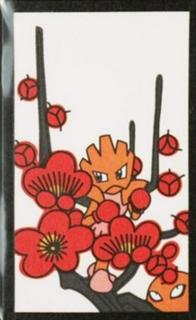 Hitmonchan, Hitmonlee (February)