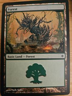 Forest
