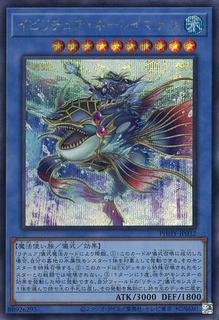Evigishki Neremanas PHHY-JP032