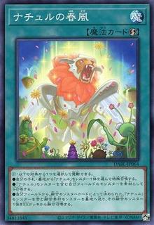 Naturia Blessing DABL-JP064