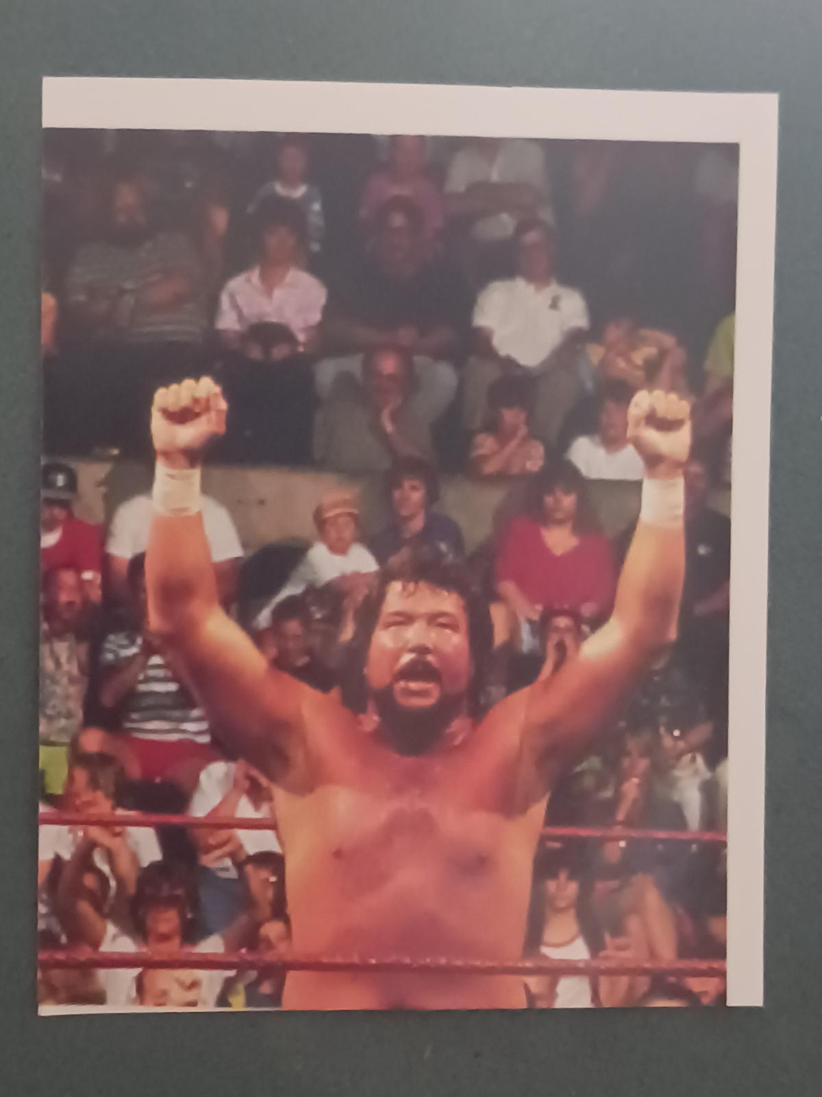 Money Inc. #29 Wrestling Cards 1992 Merlin WWF Stickers