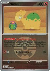 Numel [Ball] #27