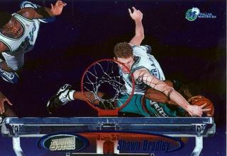 Shawn Bradley