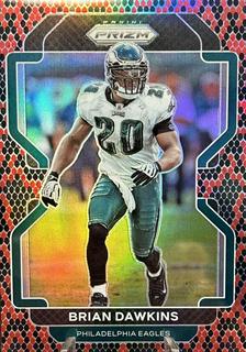 Brian Dawkins