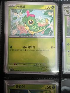 Caterpie