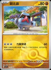 Nosepass [Poke Ball] #114