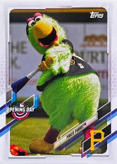 Pirate Parrot