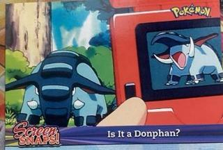 Is It a Donphan?