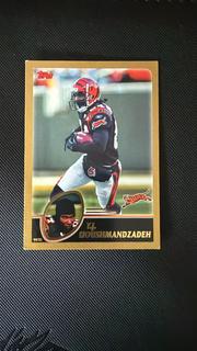 T.J. Houshmandzadeh