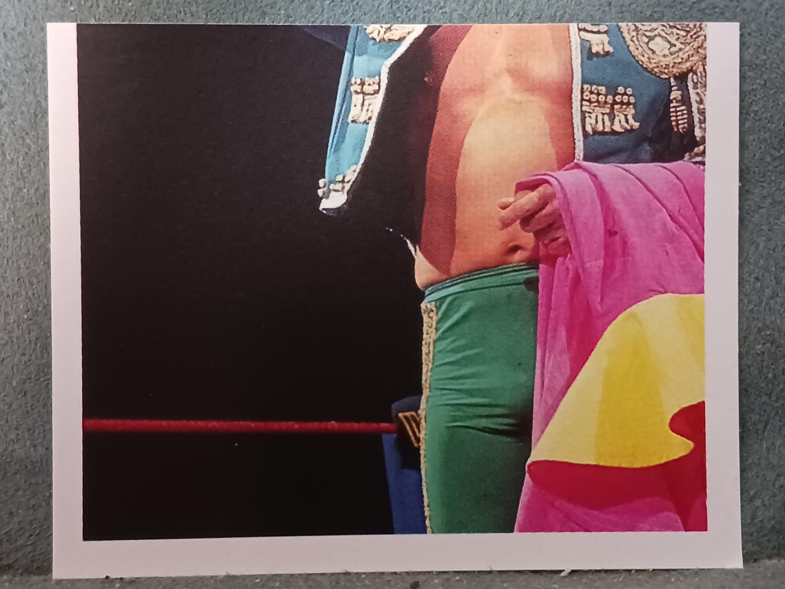 El Matador #133 Wrestling Cards 1992 Merlin WWF Stickers