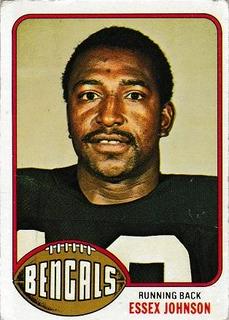 Essex Johnson