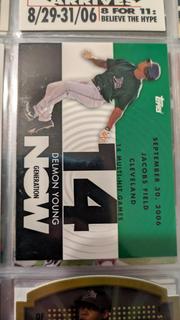 Delmon Young