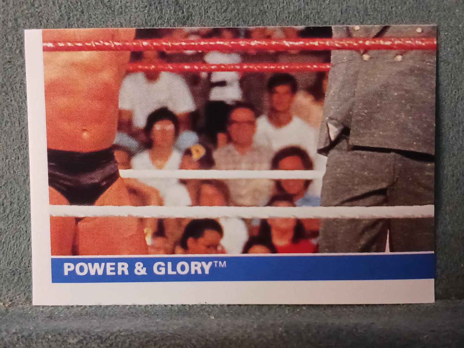 Power & Glory #42 Wrestling Cards 1991 WWF Superstars Stickers