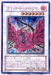 Black Rose Dragon CSOC-JP039
