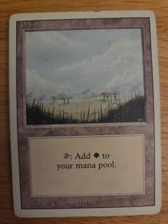 Plains