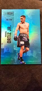 Vergil Ortiz Jr.