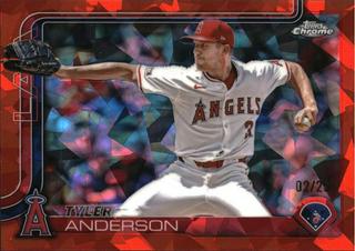 Tyler Anderson