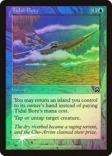 Tidal Bore