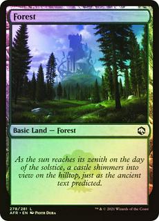 Forest