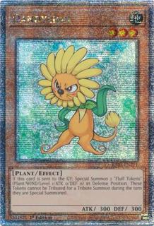 Dandylion RA03-EN211