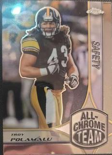 Troy Polamalu
