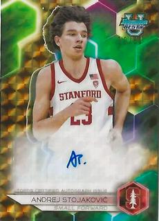 Andrej Stojakovic