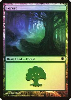 Forest