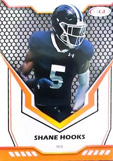 Shane Hooks
