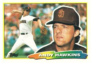 Andy Hawkins